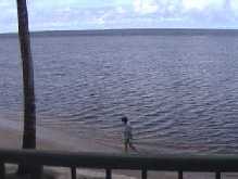 [View from Lanai]