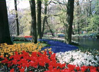 [Kukenhof]