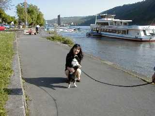 [German Dog]