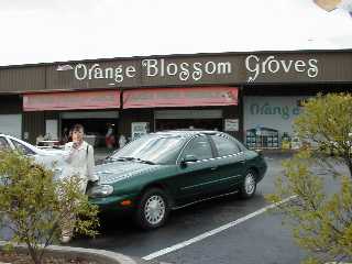 [Orange Blossom Groves]