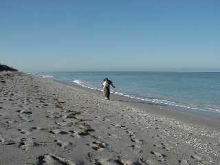 [Twin Waters Beach]