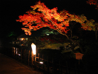 [Takamatsu]